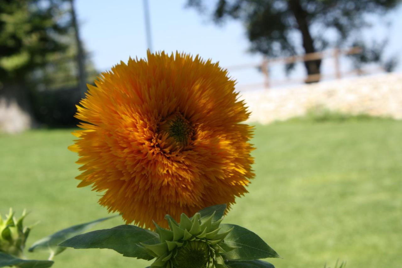 Locanda del Barone Caramanico Terme Esterno foto